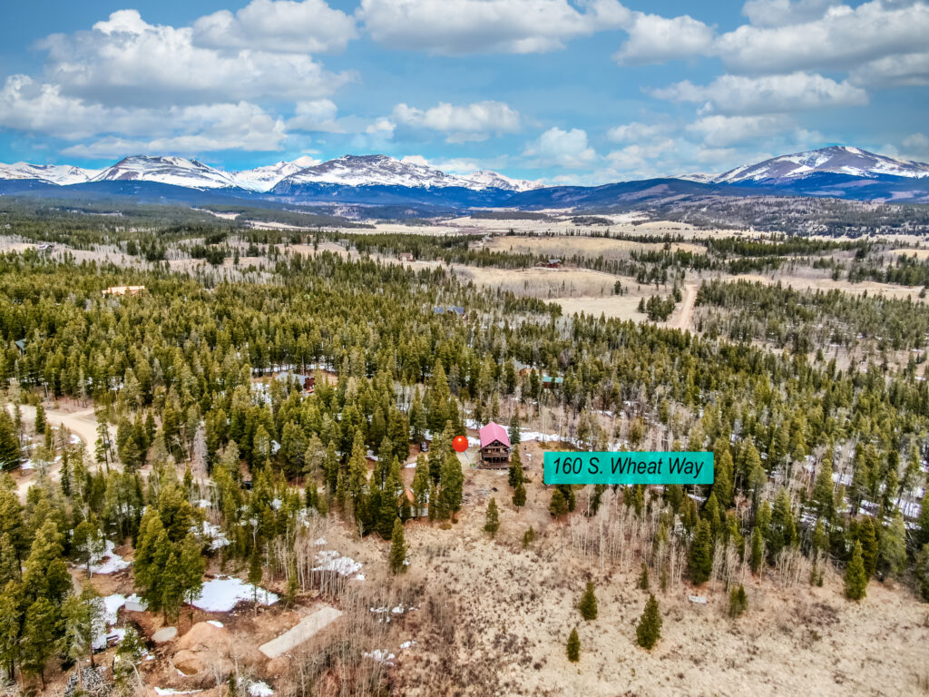 160 S Wheat Way Fairplay, CO