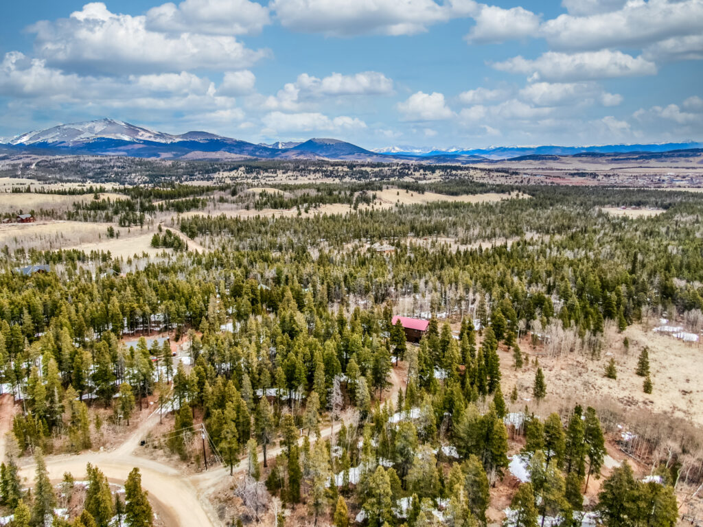 160 S Wheat Way Fairplay, CO