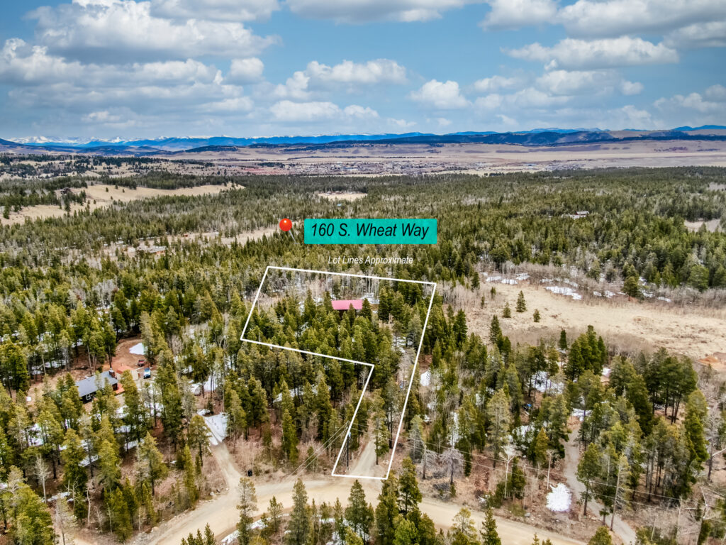 160 S Wheat Way Fairplay, CO