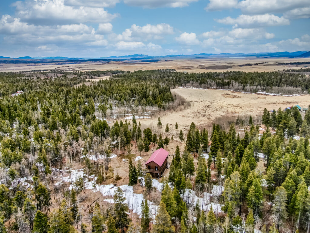 160 S Wheat Way Fairplay, CO