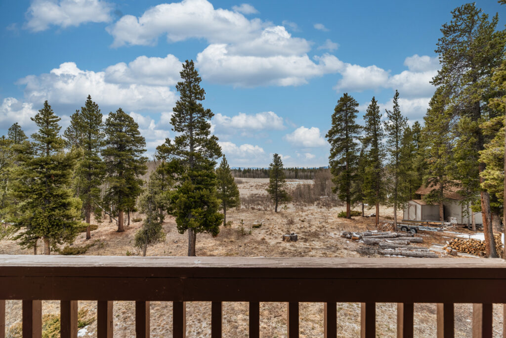 160 S Wheat Way Fairplay, CO